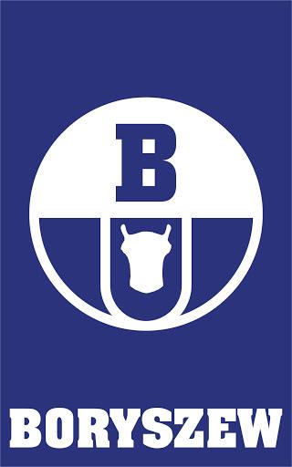 Logo-Boryszew